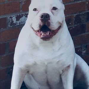 Meet your Posher, Baylee